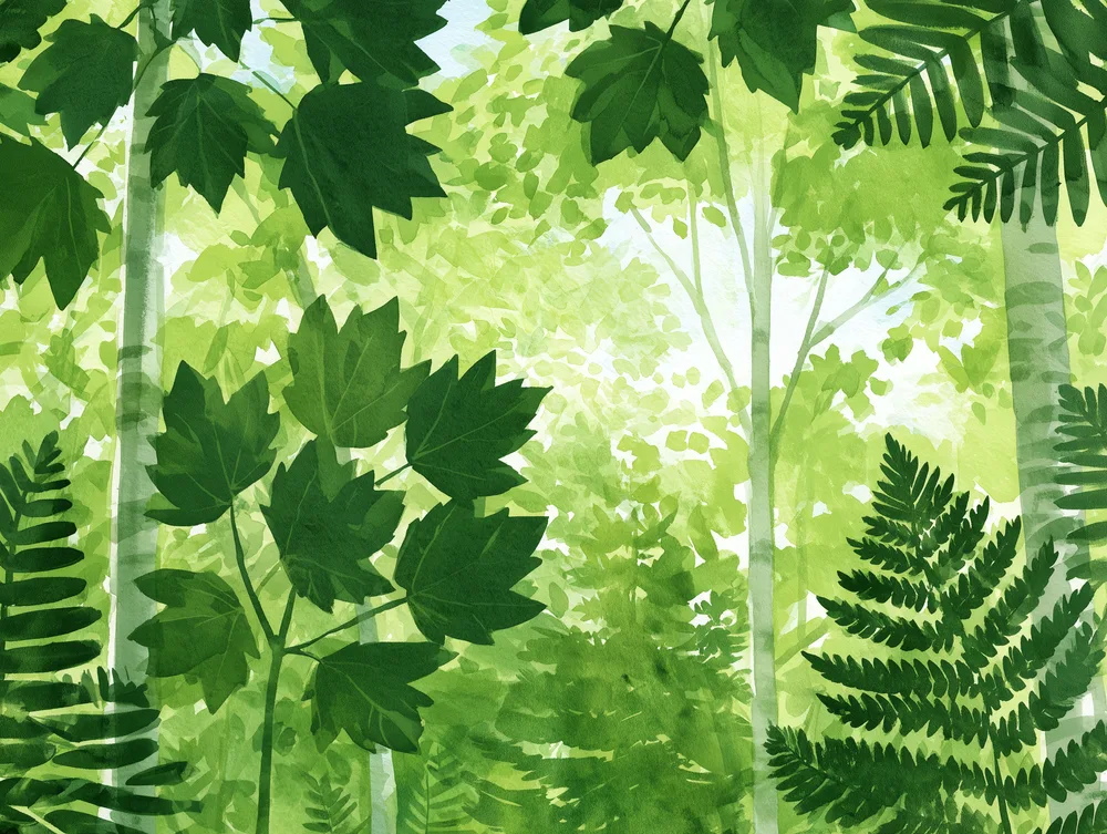 Illustration of woodland foliage