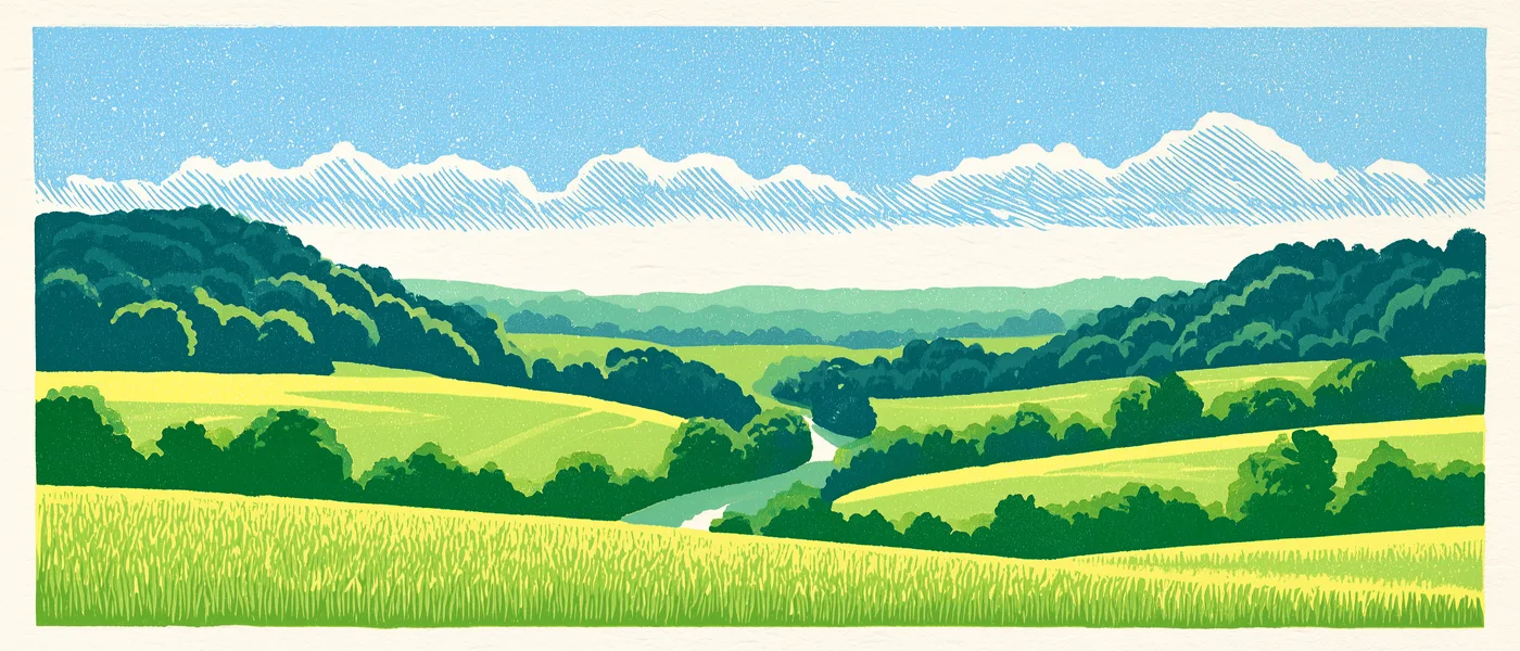 Illustration of meadow grasses