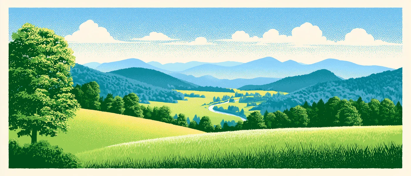 Illustration of meadow grasses