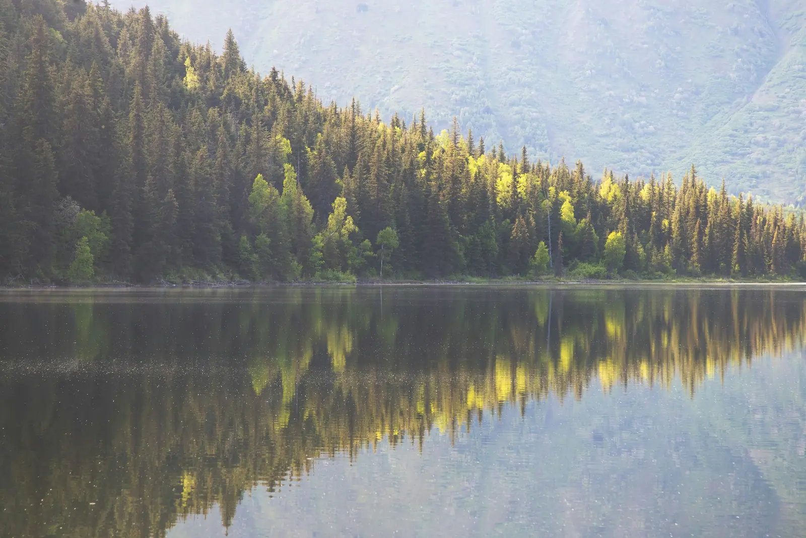 A still lake reflecting a spruce and birch shoreline below a green mountainside in early summer.