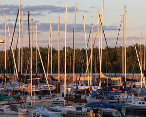 Boats moored at the Carlyle Lake marina on a clear day.