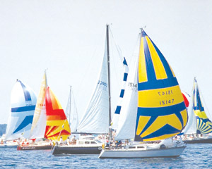 Sailboats racing on Carlyle Lake under a bright sky.