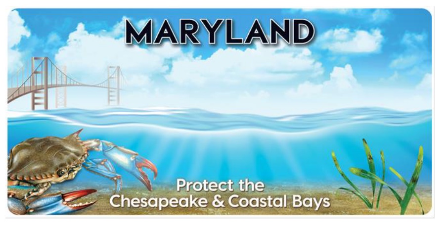 Maryland Chesapeake Bay specialty license plate artwork with the Bay Bridge, a blue crab, and Protect the Chesapeake and Coastal Bays