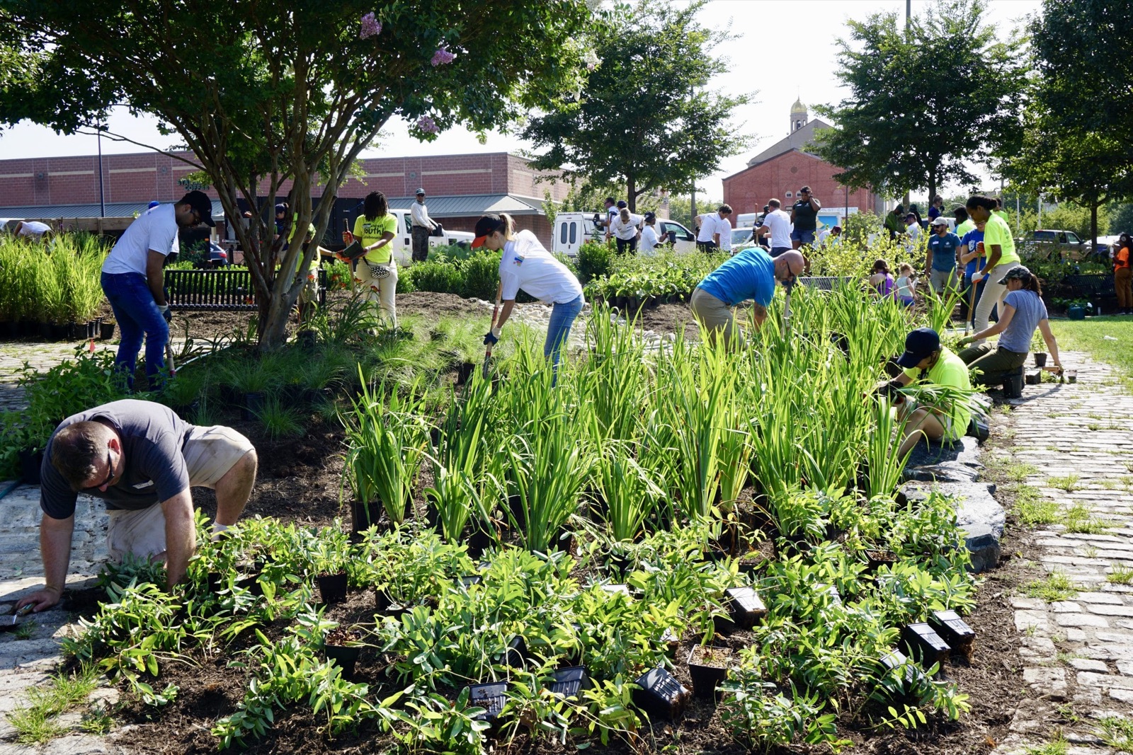 Neighbors of all ages plant young trees together at a community eco park