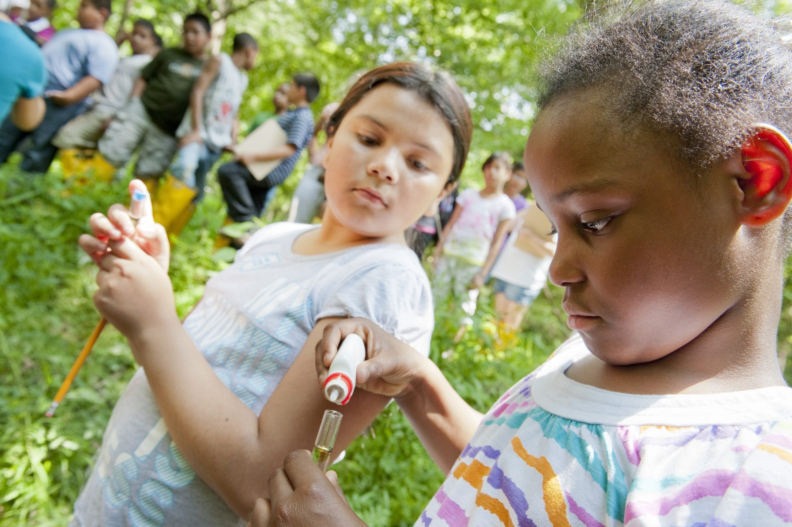 Students gather for a hands-on watershed field lesson, examining specimens outdoors