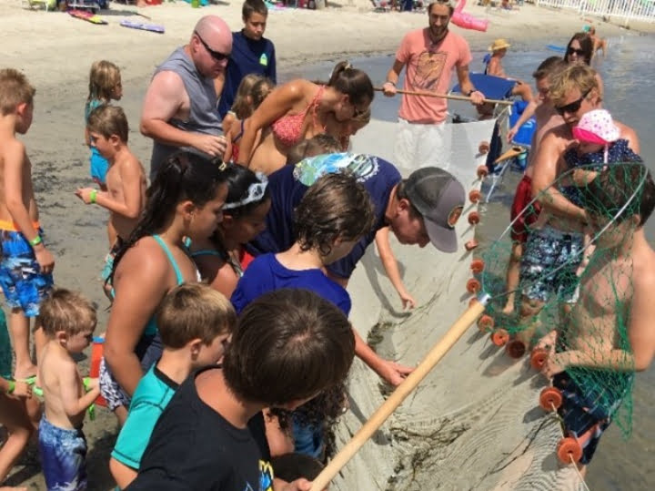 Students and instructors haul a seine net through shallow water on a sunny shoreline