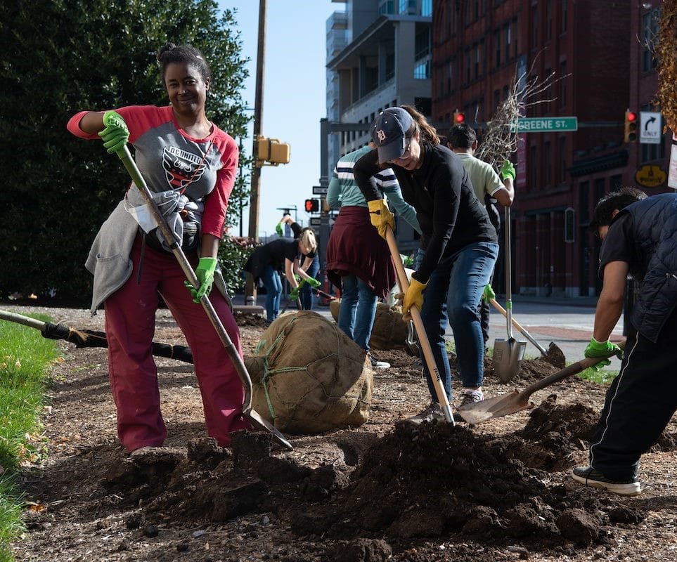 Two smiling volunteers in work gloves carry a balled young tree down a city sidewalk