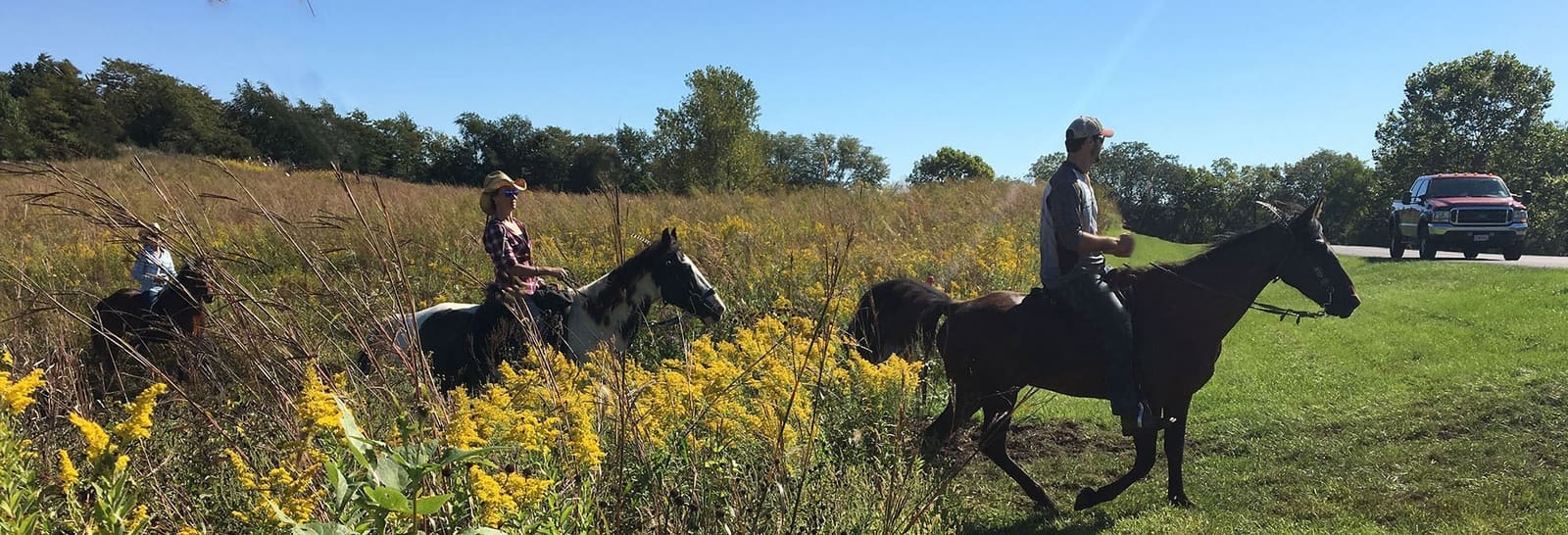 Riders on horseback crossing a prairie trail through goldenrod near Smithville Lake.