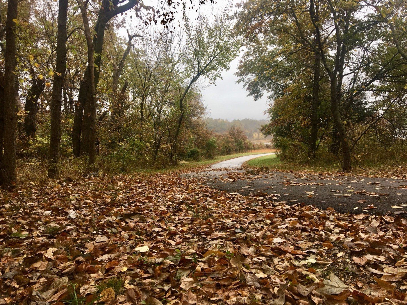 A trail at Smithville Lake, Clay County Parks.
