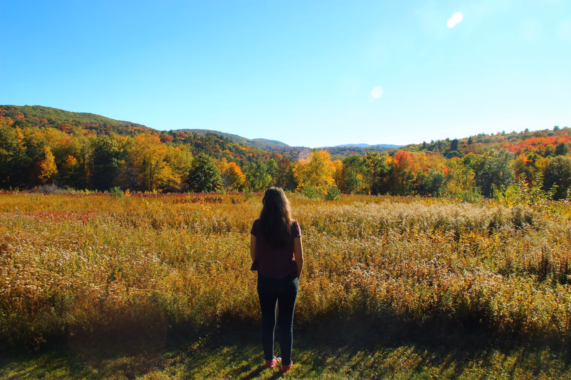 A visitor standing in a golden autumn meadow at Steepletop, the hills beyond in fall color