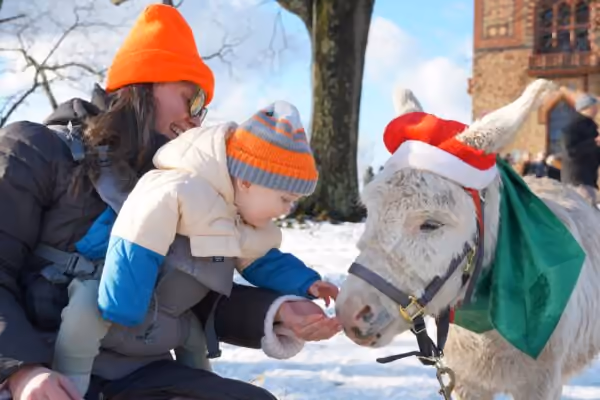 Olana Winter Solstice Celebration