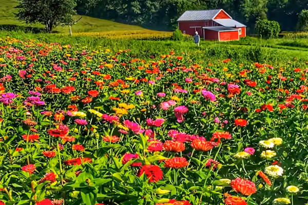 Eger Brothers Farm Stand