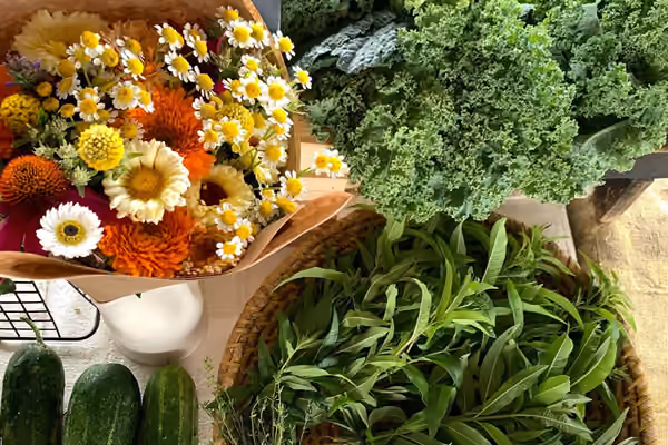 Germantown Farmers Market