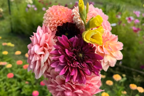 Guiding Green Thumbs