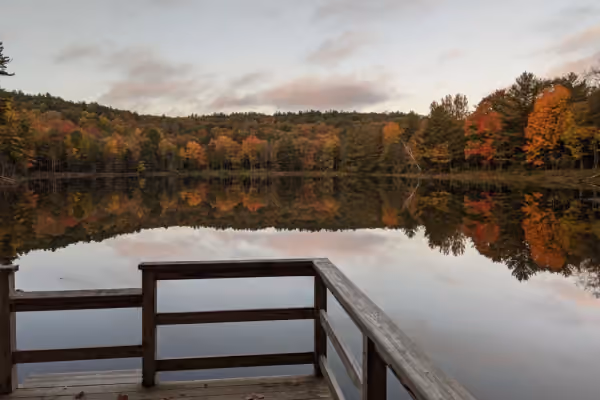 Hand Hollow State Forest