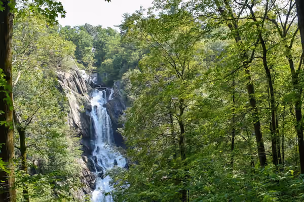 High Falls Public Conservation Area
