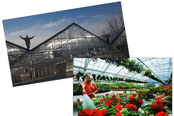 Holmquest Farms