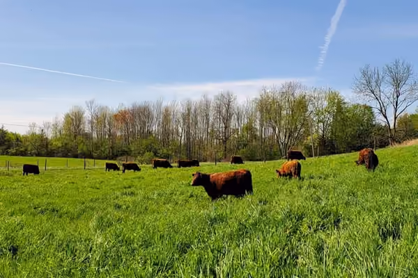 Hover Farms