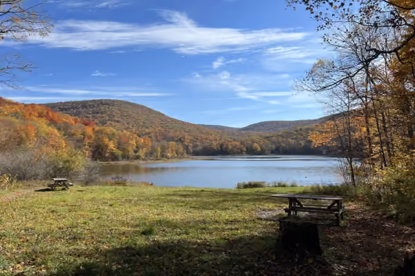 Livingston State Forest