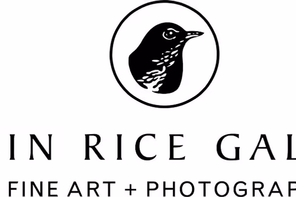Robin Rice Gallery