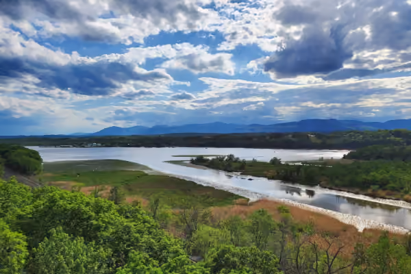 Rogers Island Wildlife Management Area