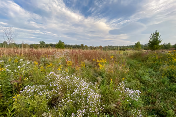 Stockport Wildlife Management Area