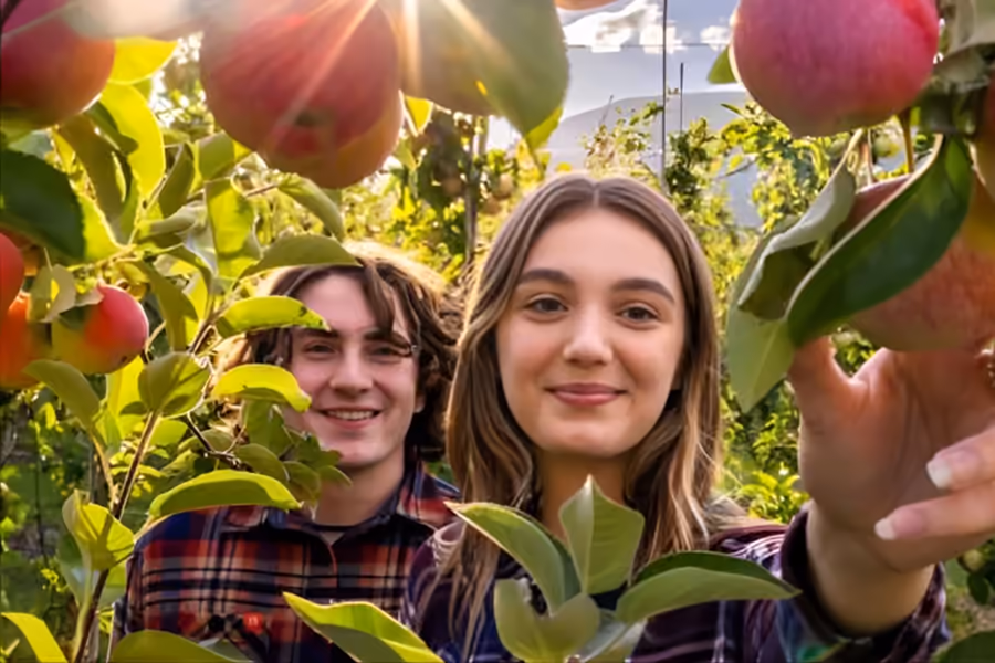 The cover photograph of “Apple Picking Season Arrives in Columbia County”