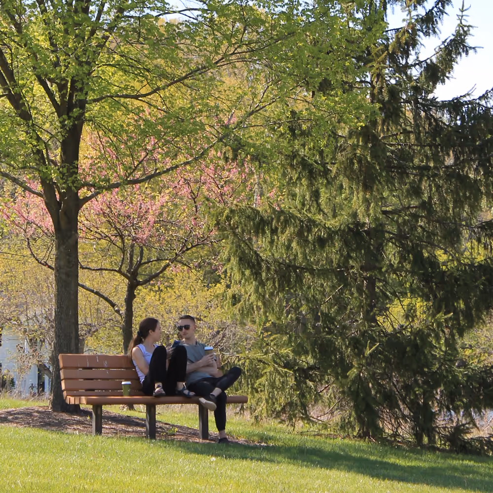 Two people talking on a park bench under a redbud and a tall spruce in spring