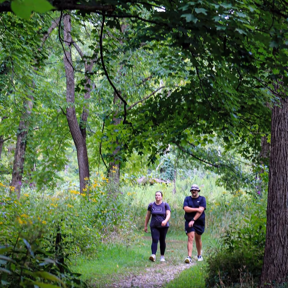 Two hikers on a mown path through the summer woods