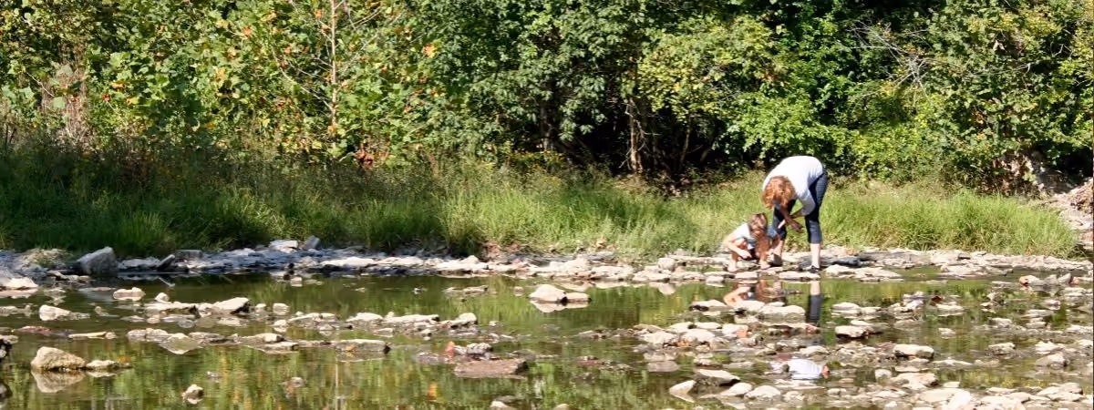A parent and child looking for creatures in the shallows of Holes Creek at Grant Park