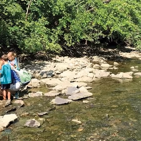 Campers and a counselor wading in Holes Creek at Hidden Meadows Day Camp in Grant Park