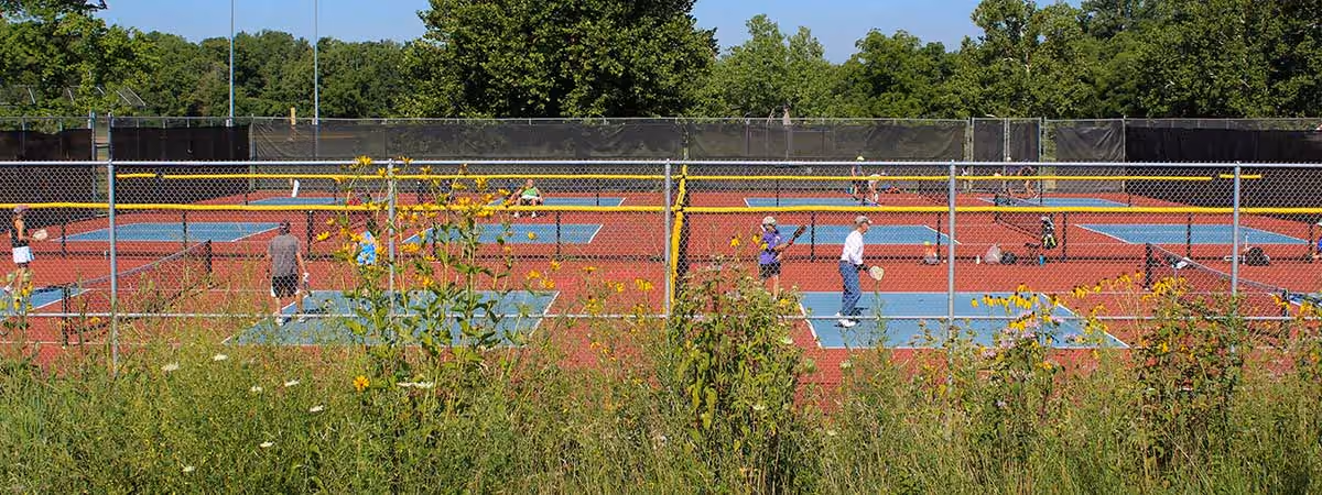 Players on the six pickleball courts at the Activity Center Park