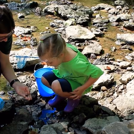 Preschoolers and a naturalist on the Preschool Nature Series at Bill Yeck Park