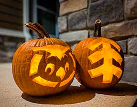 Two carved pumpkins on concrete. A brick wall is in the background. Pumpkin designs are CWPD mascot and CWPD logo.