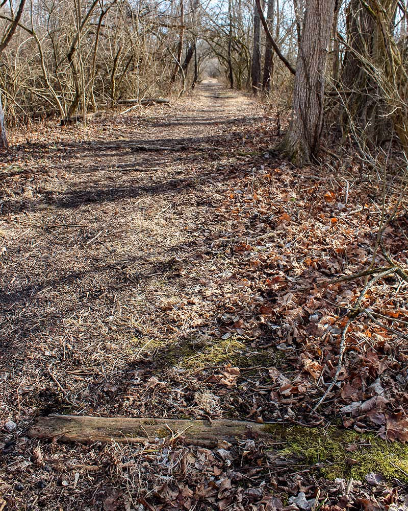 trail at Big Bend Park