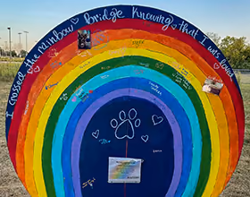rainbow bridge dog memorial with names of pets and images pinned to it.