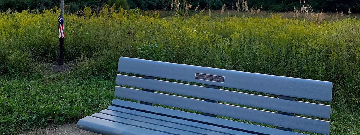A park bench with a dedication plaque facing a summer meadow