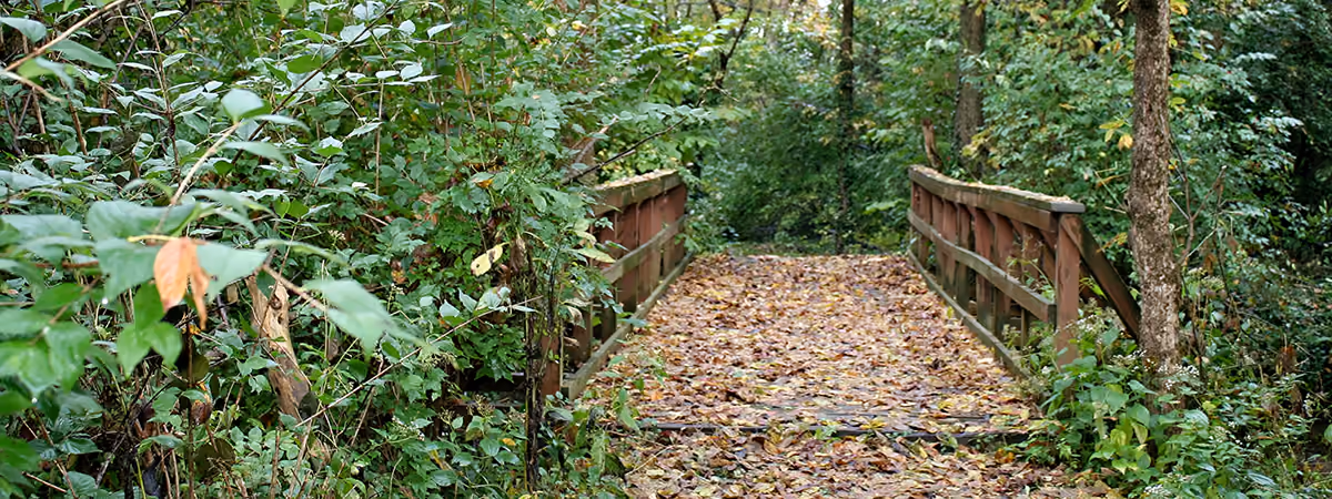Bridge in the woods at Big Bend Park in Dayton Ohio