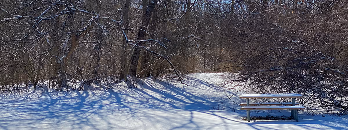 Snowy picnic table at trailhead of Black Oak East Park