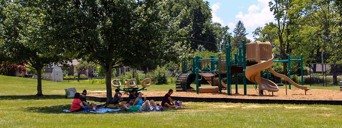 People sitting under a tree with a playground in the background