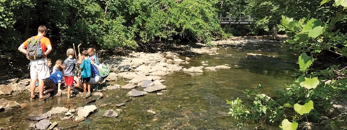 Campers and a counselor wading in Holes Creek at Hidden Meadows Day Camp in Grant Park