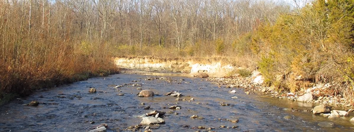 Holes Creek at Huffman Park