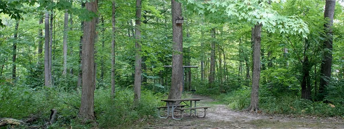 Nutt Woods Park