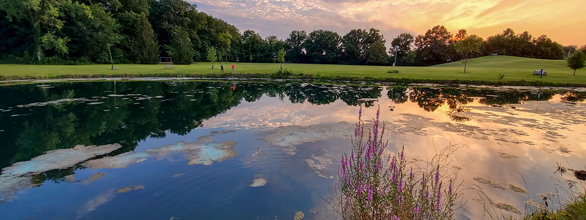 Sunset over Rosewood Park pond