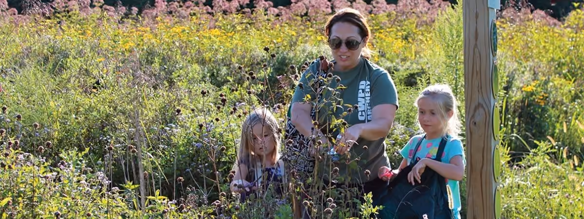 A naturalist and two girls among the tall plants of the Bill Yeck Park seed nursery