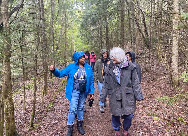Birders walking a spring forest