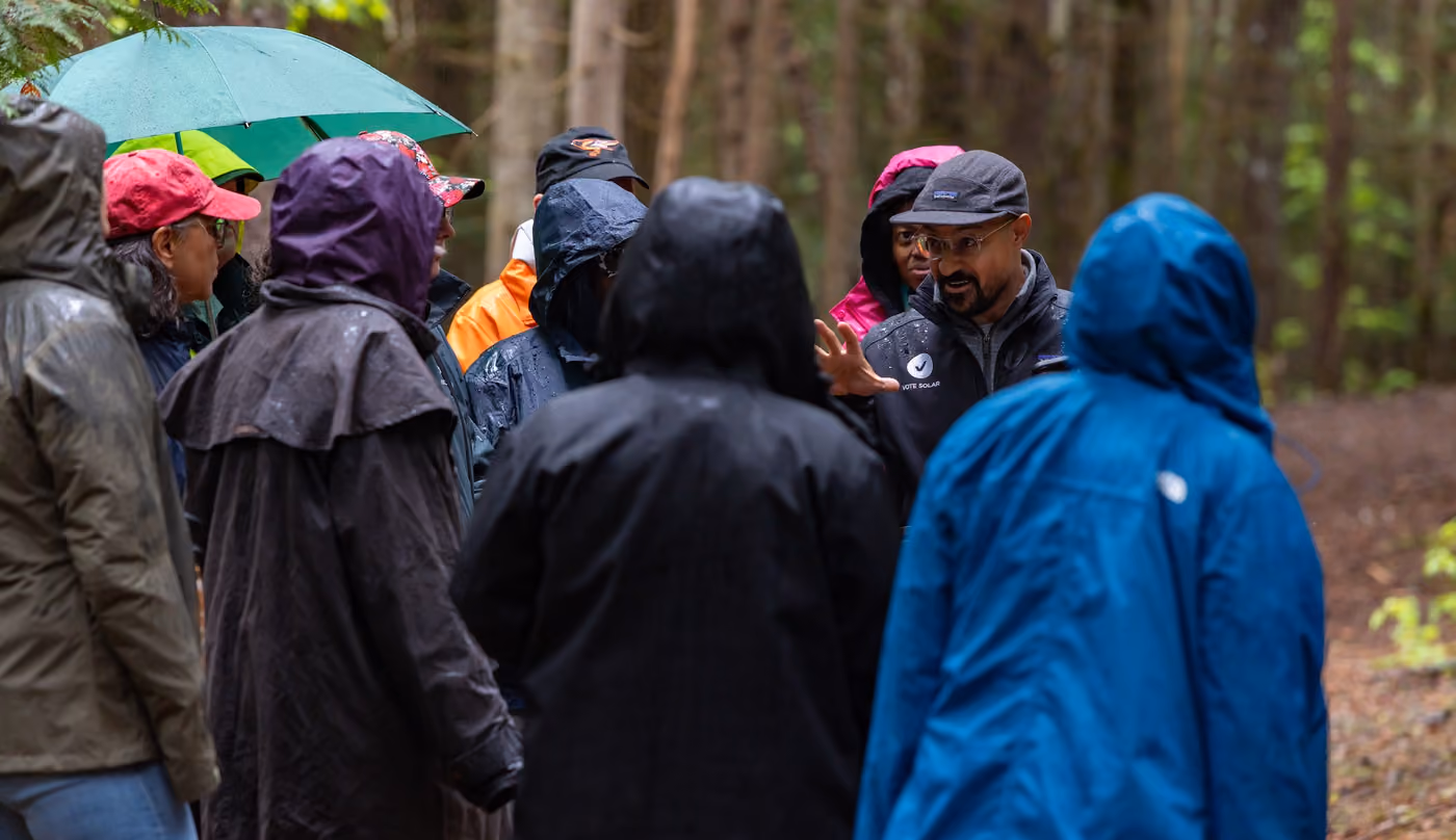 Birders in rain jackets gathered under the trees