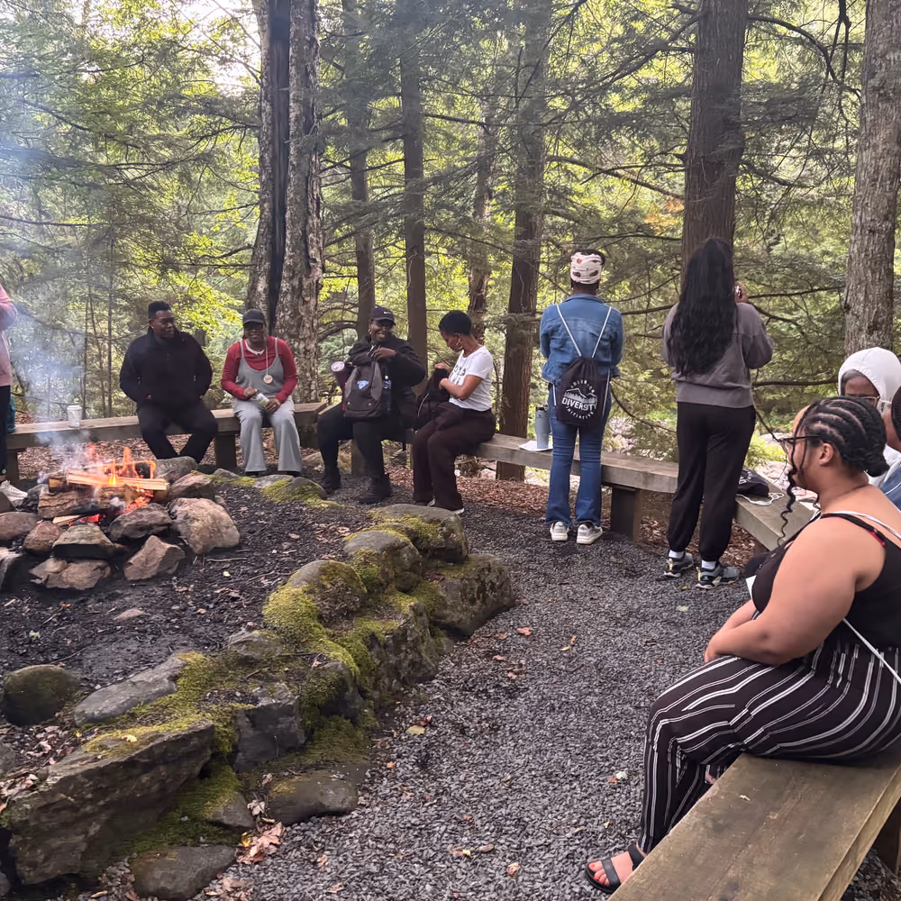 A campfire circle among the pines