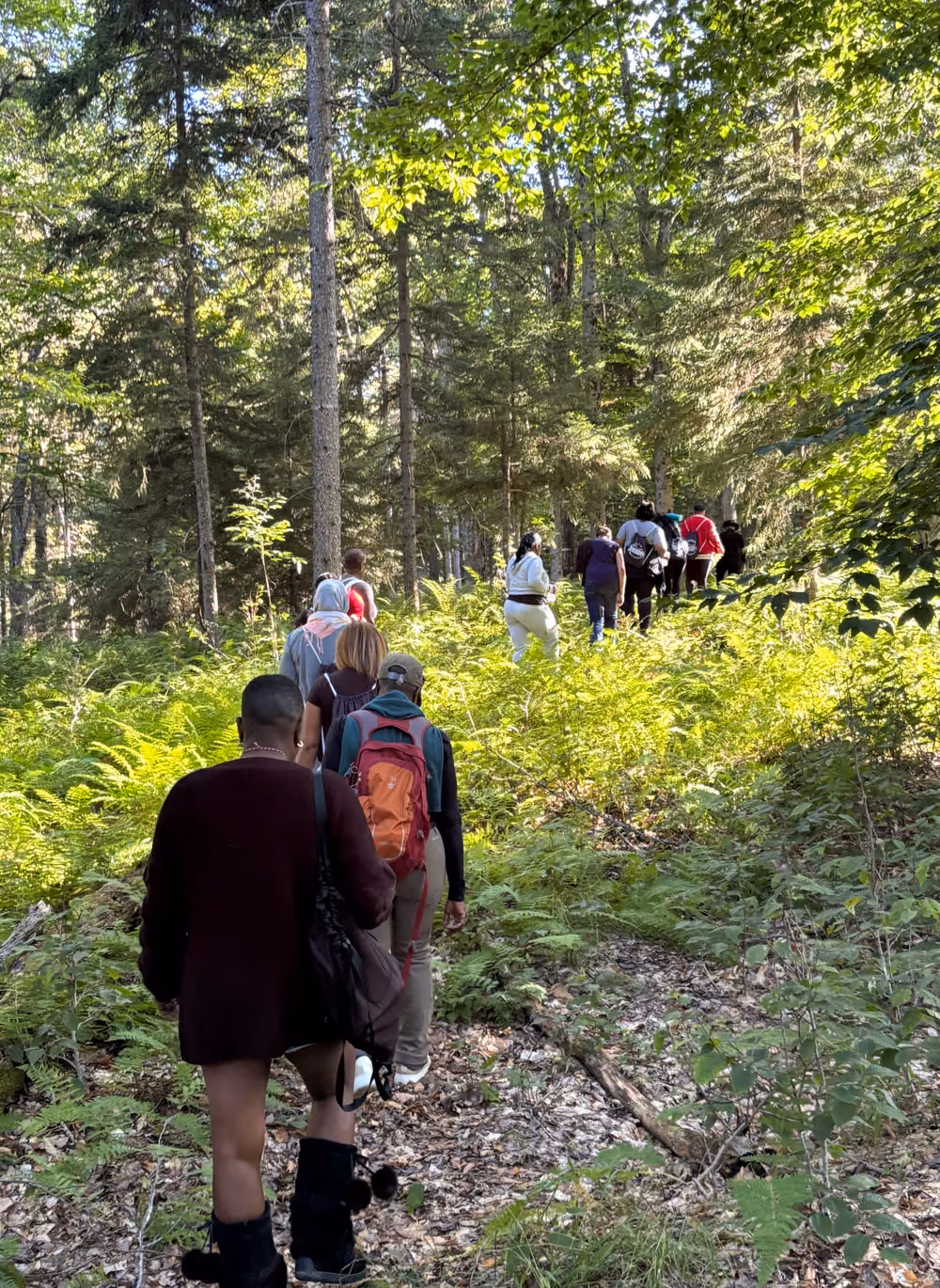 Walking single file into the woods