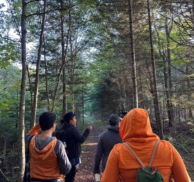 Walking a forest path at the LGBTQIA+ Leaders Retreat